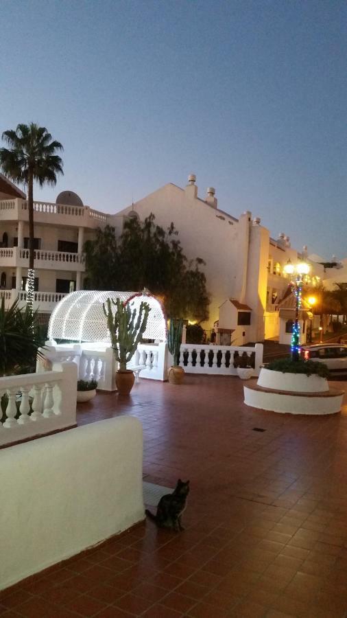 Lovely Studio Los Cristianos Heated Pool Santa Cruz de Tenerife Exterior photo